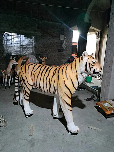 ROYAL BENGAL TIGER