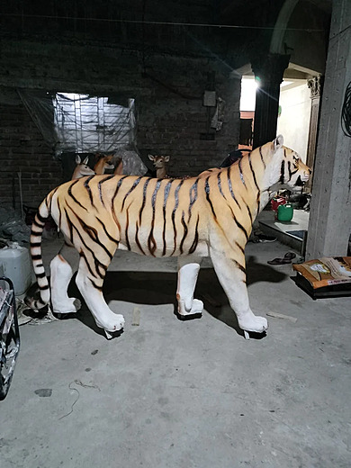 ROYAL BENGAL TIGER