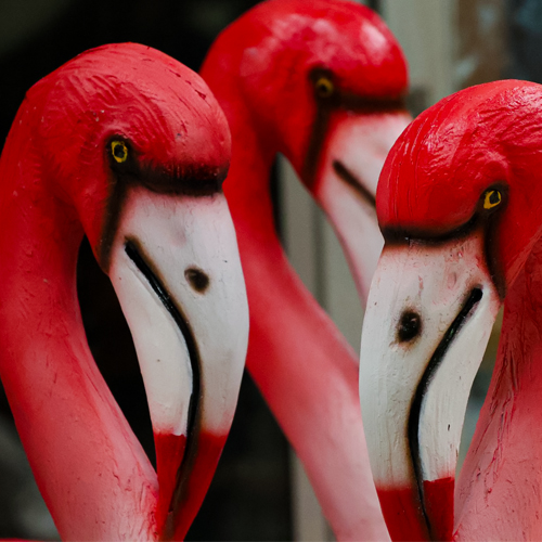 FRP BIRDS