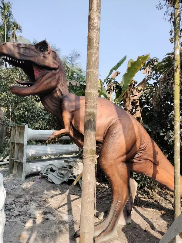 FIBRE ANIMAL BIG SIZE