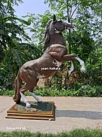 FRP HORSE