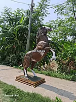 FRP HORSE