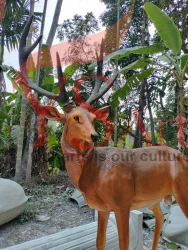 SAMBER DEER