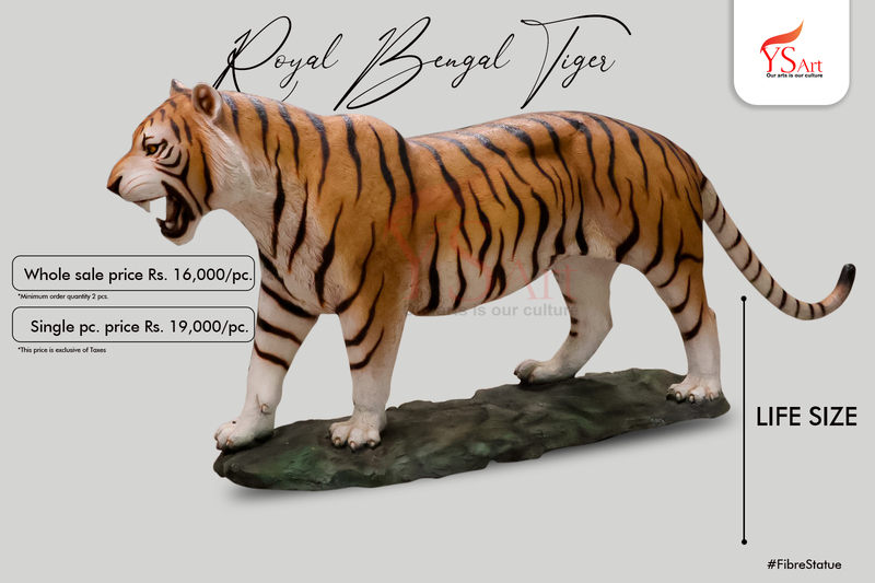 ROYAL BENGAL TIGER