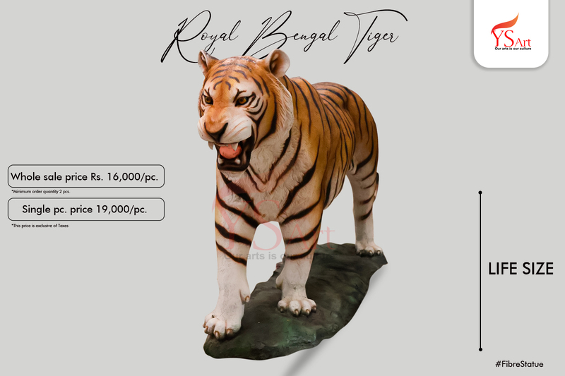 ROYAL BENGAL TIGER